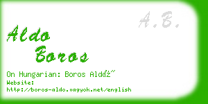 aldo boros business card